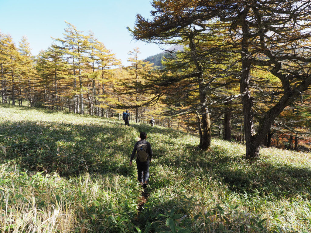 黒斑山登山　外輪山周回コース