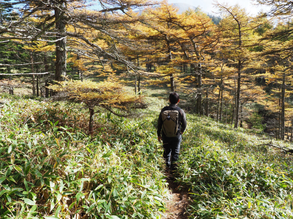 黒斑山登山　外輪山周回コース