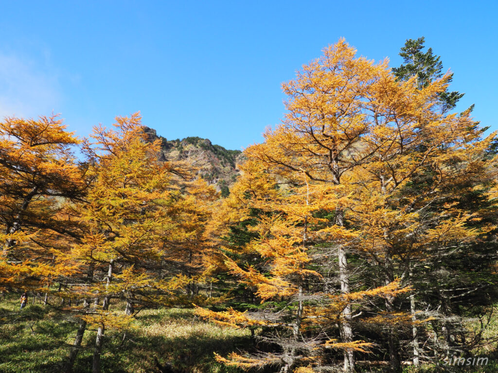 黒斑山登山　外輪山周回コース