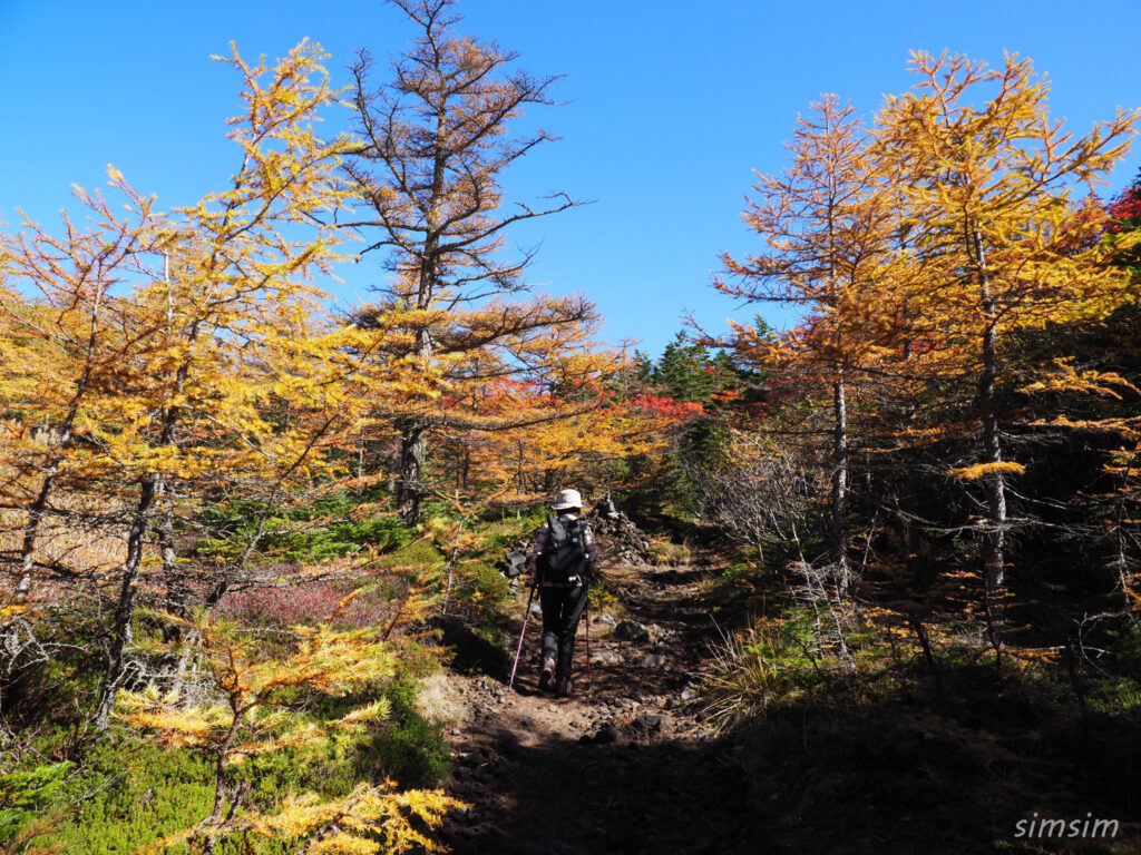 黒斑山登山　外輪山周回コース