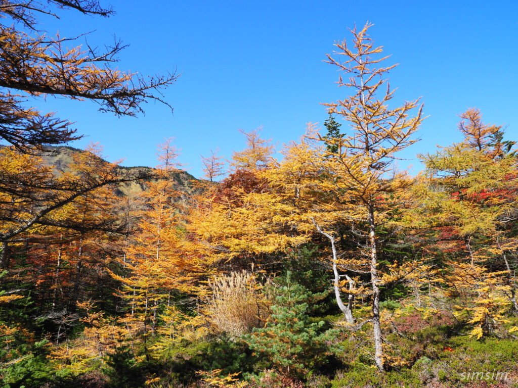 黒斑山登山　外輪山周回コース