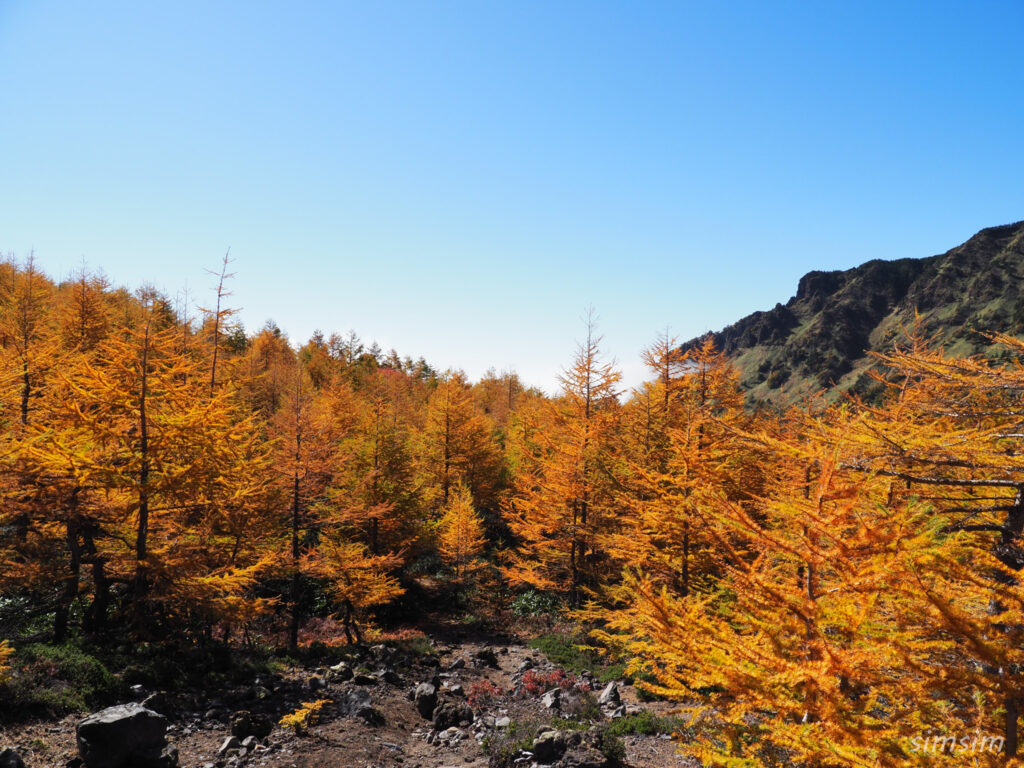 黒斑山登山　外輪山周回コース　浅間ゴールド