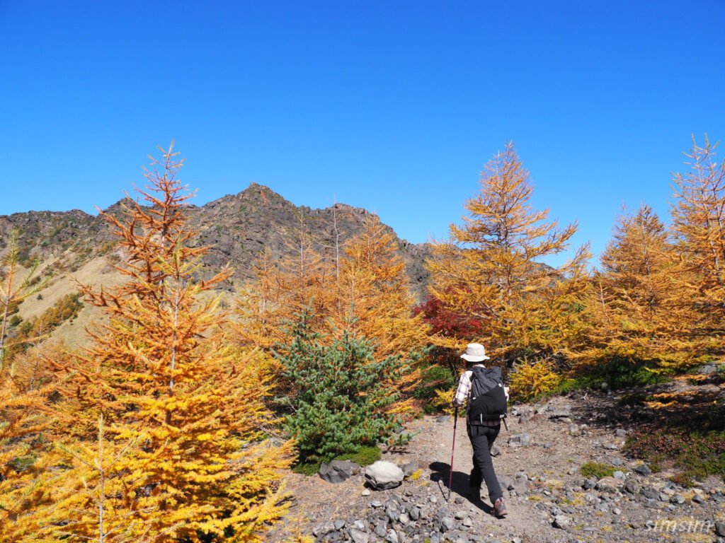 黒斑山登山　外輪山周回コース　浅間ゴールド