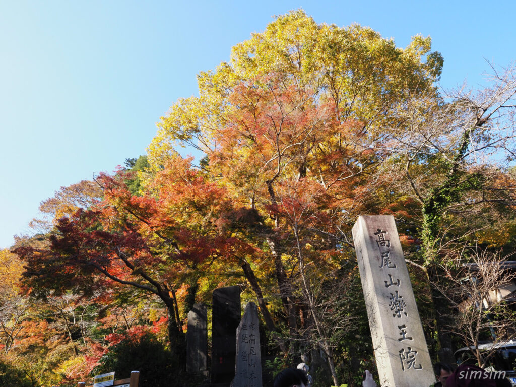 高尾山　紅葉登山