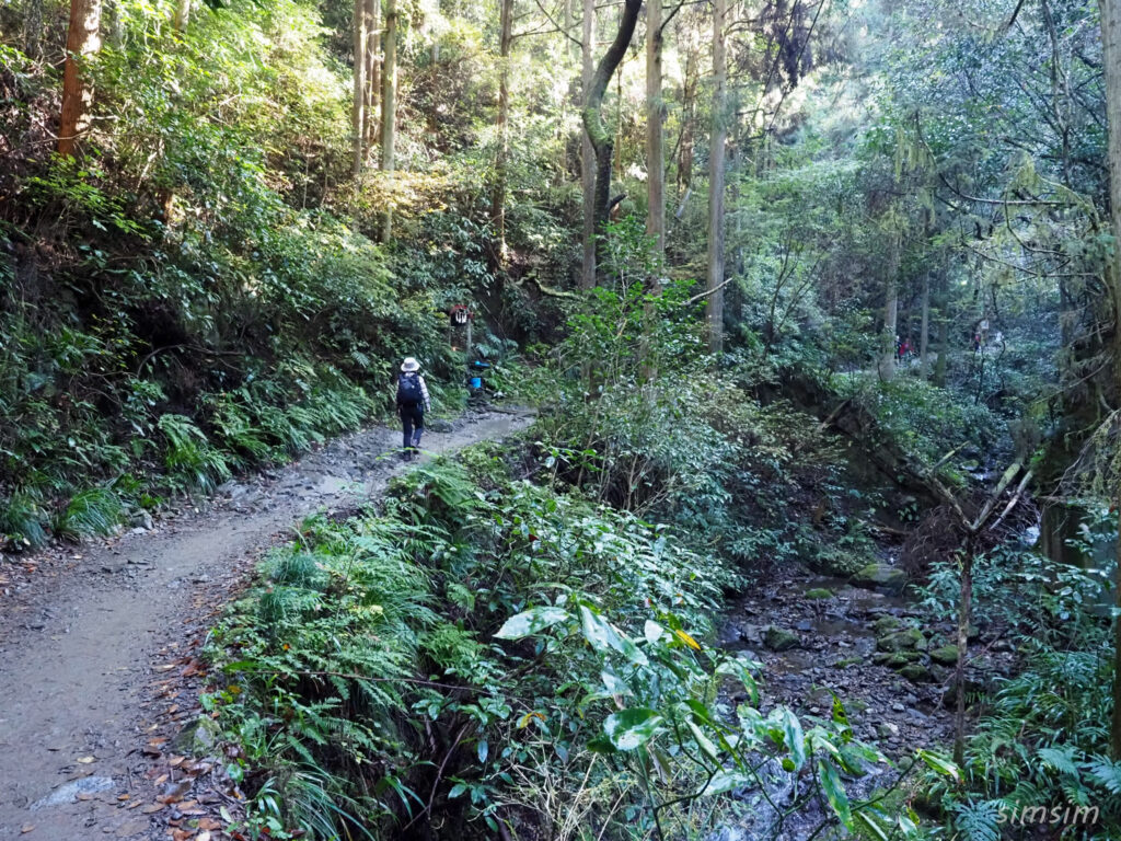 高尾山　紅葉登山