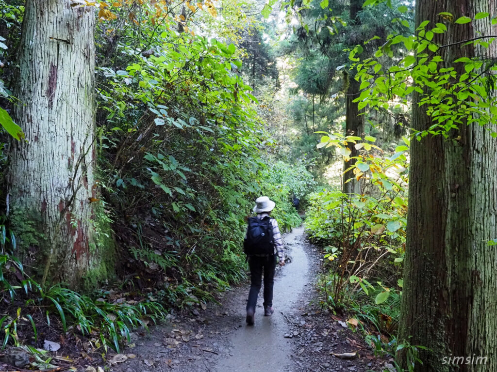 高尾山　紅葉登山