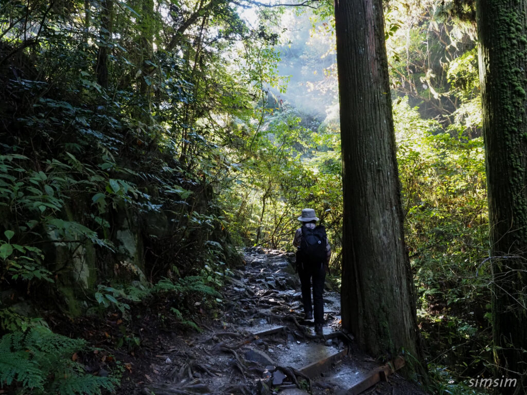 高尾山　紅葉登山