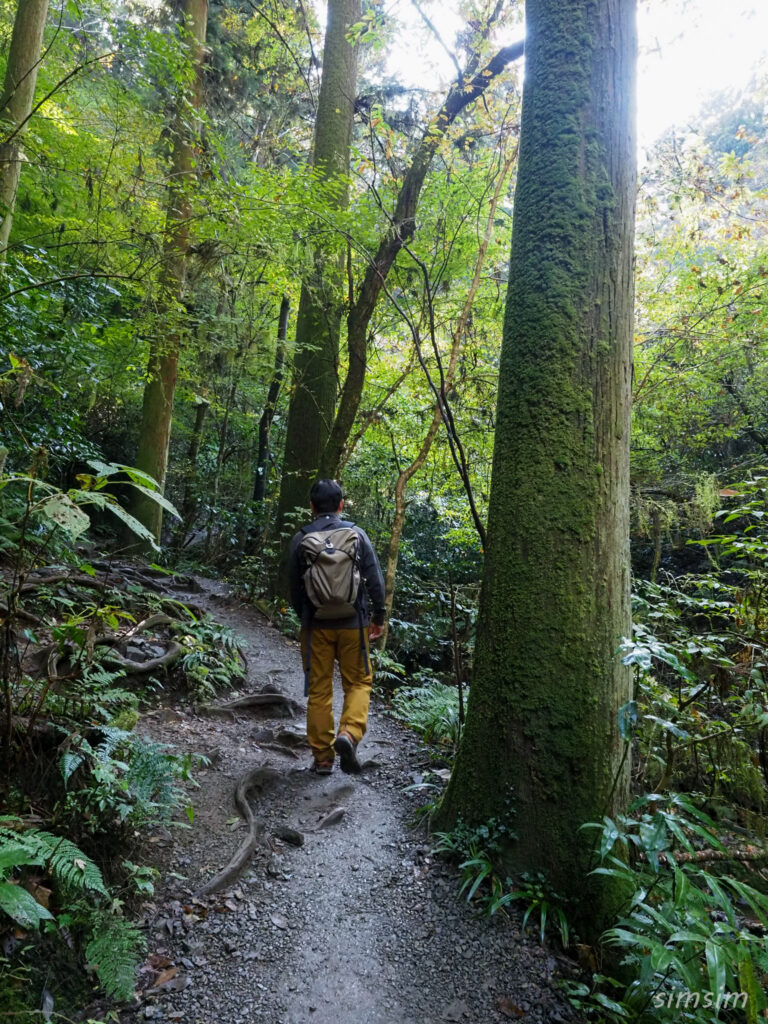 高尾山　紅葉登山