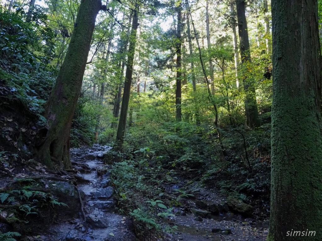 高尾山　紅葉登山