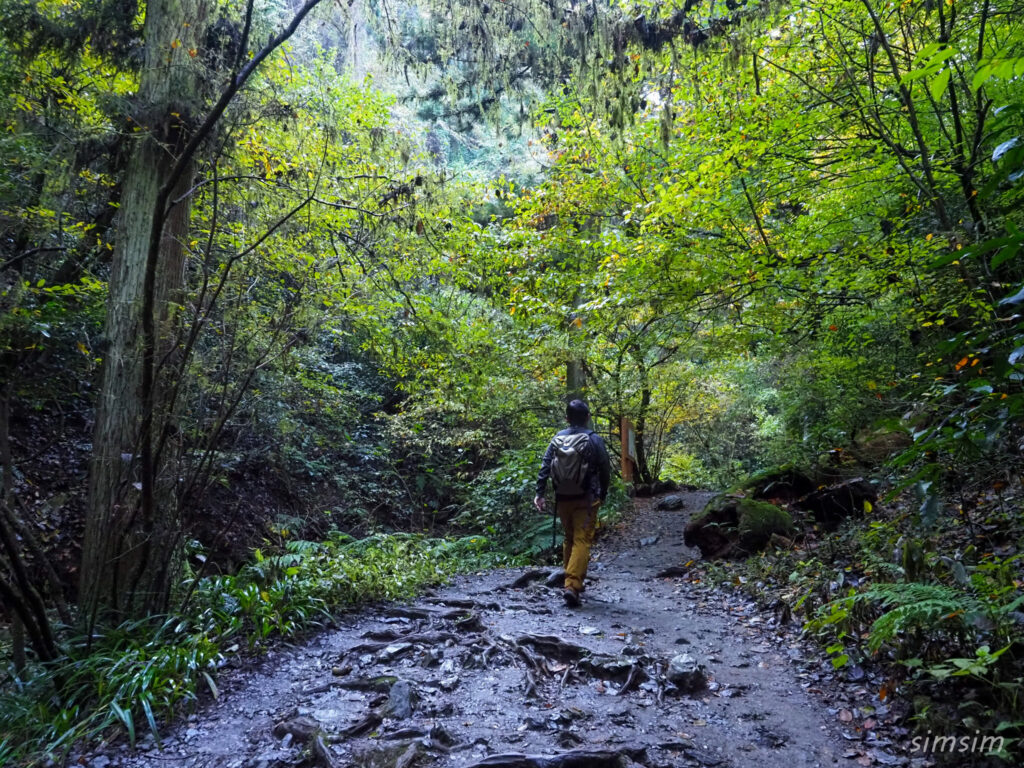 高尾山　紅葉登山