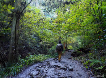 高尾山　紅葉登山