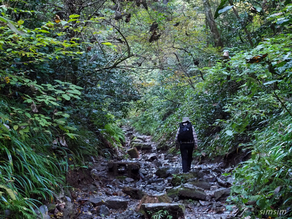 高尾山　紅葉登山