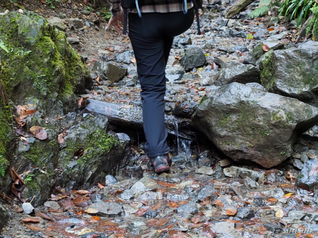 高尾山　紅葉登山