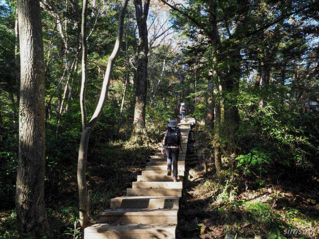 高尾山　紅葉登山