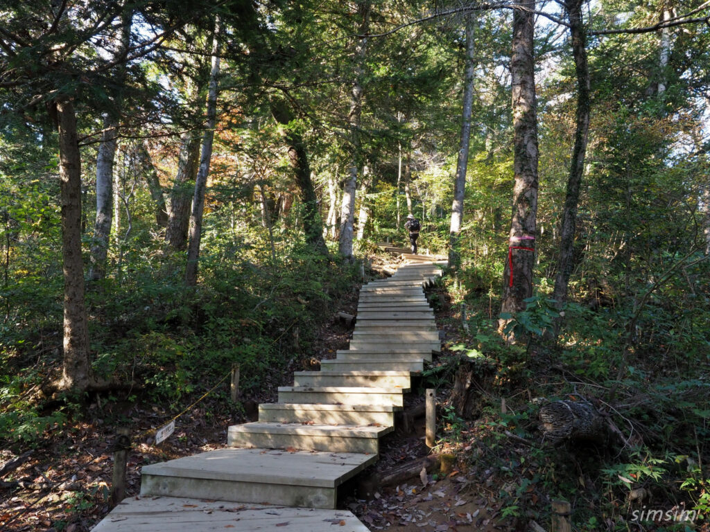 高尾山　紅葉登山