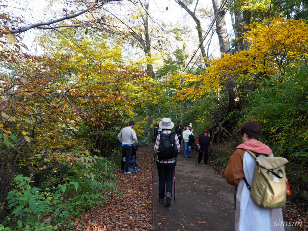 高尾山　紅葉登山