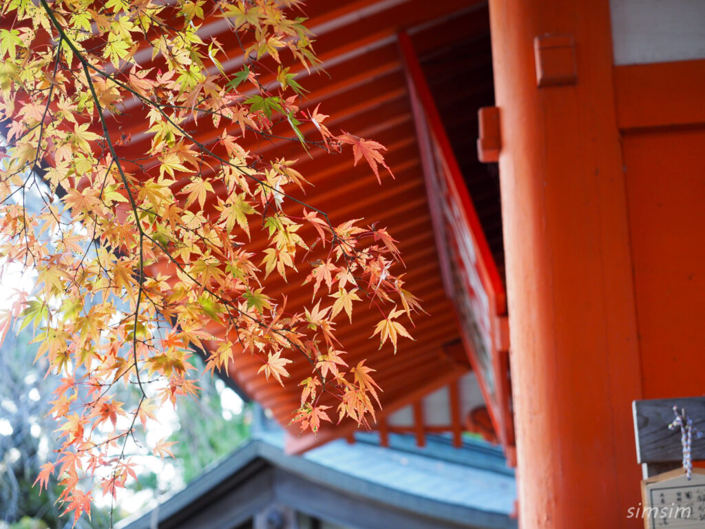 高尾山　紅葉登山