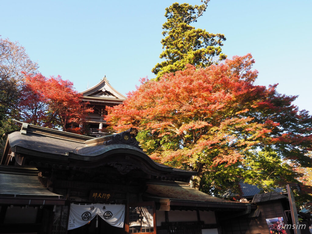 高尾山　紅葉登山