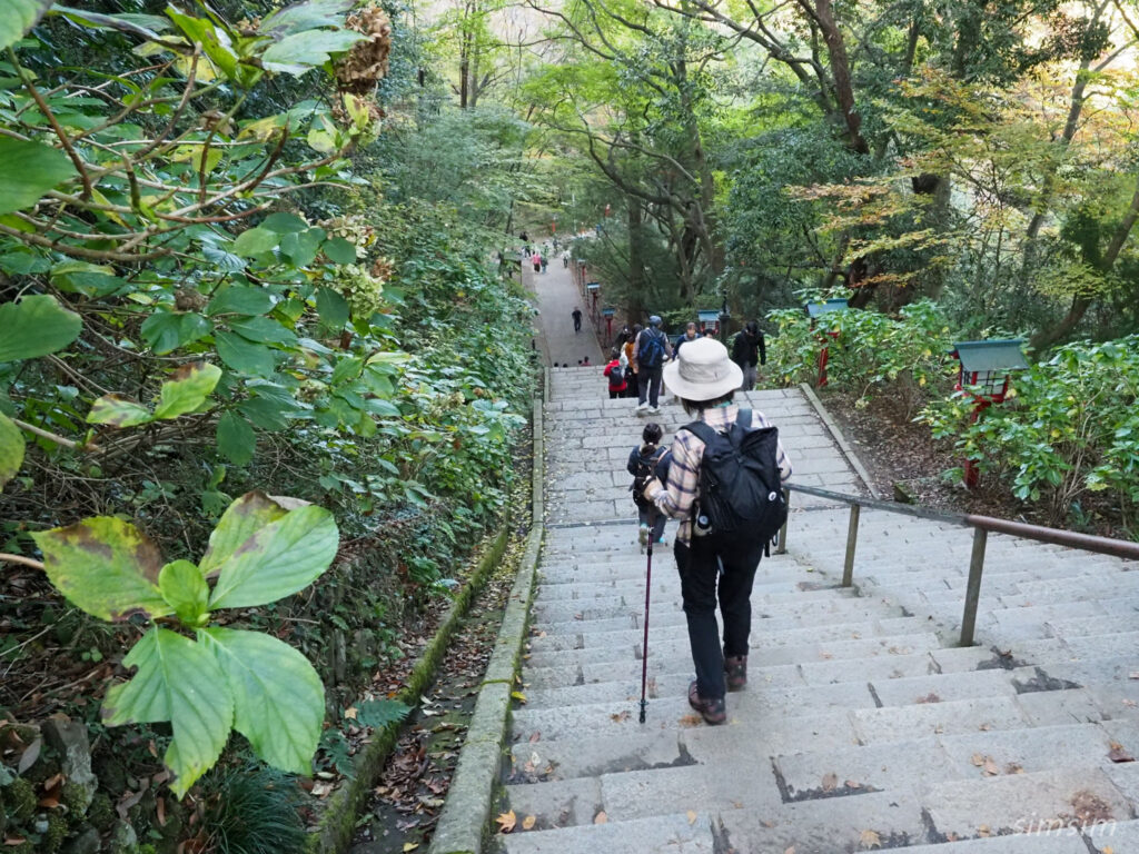 高尾山　紅葉登山