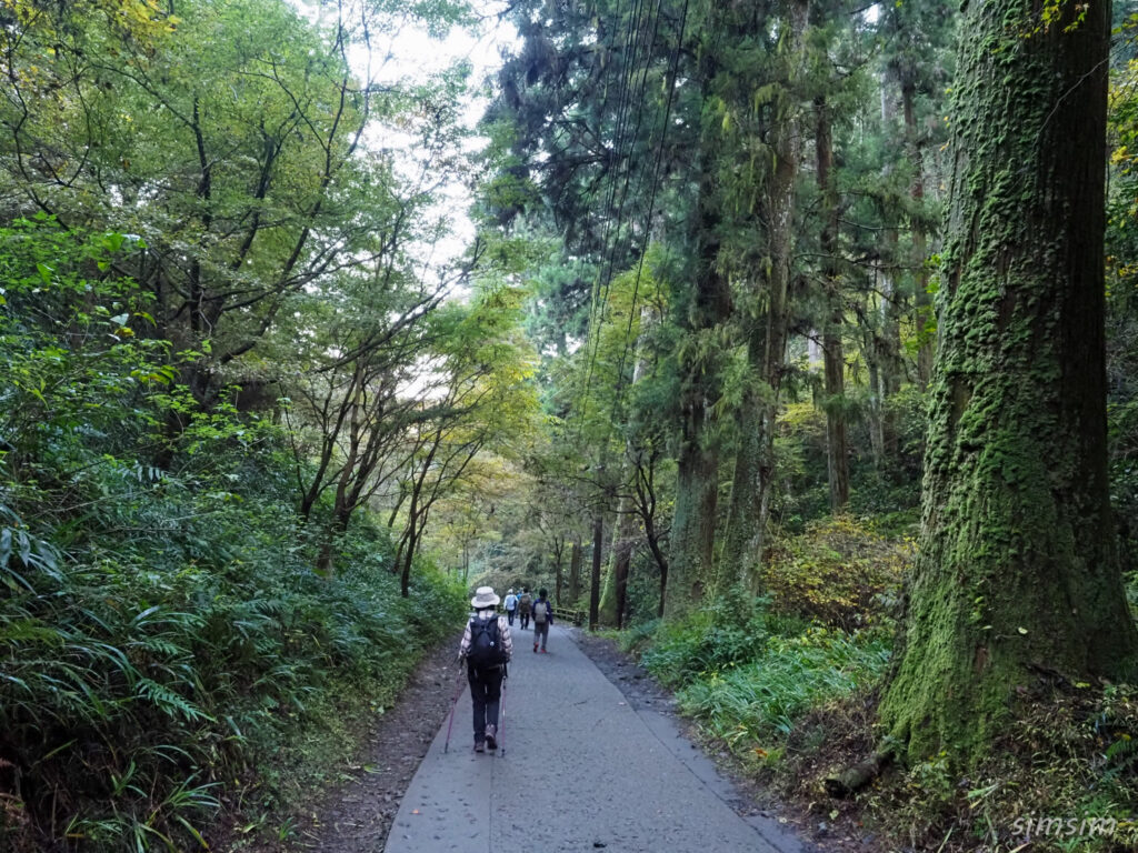 高尾山　紅葉登山