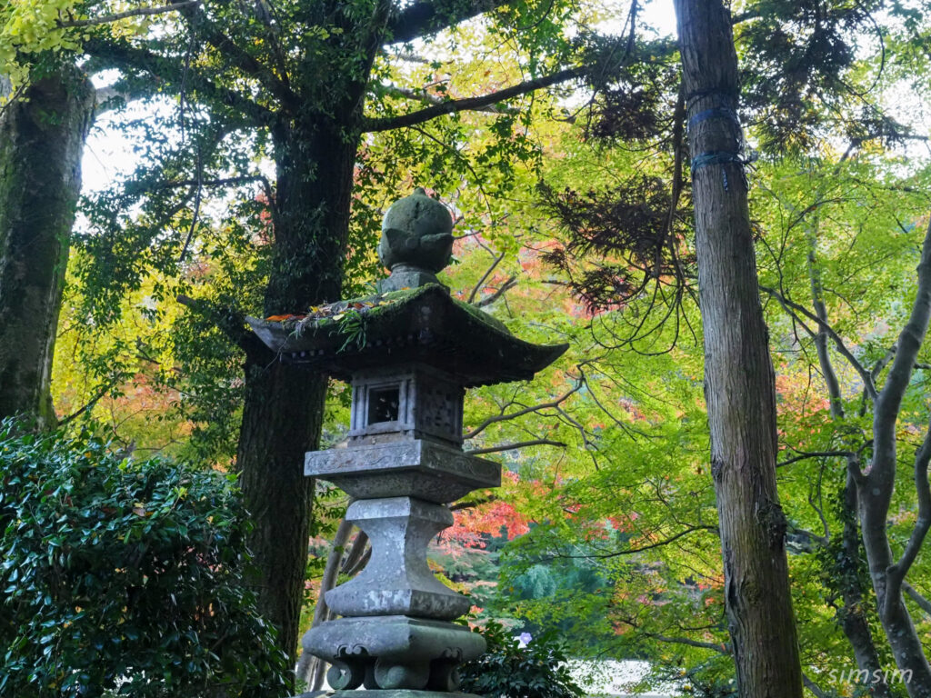 高尾山　紅葉登山