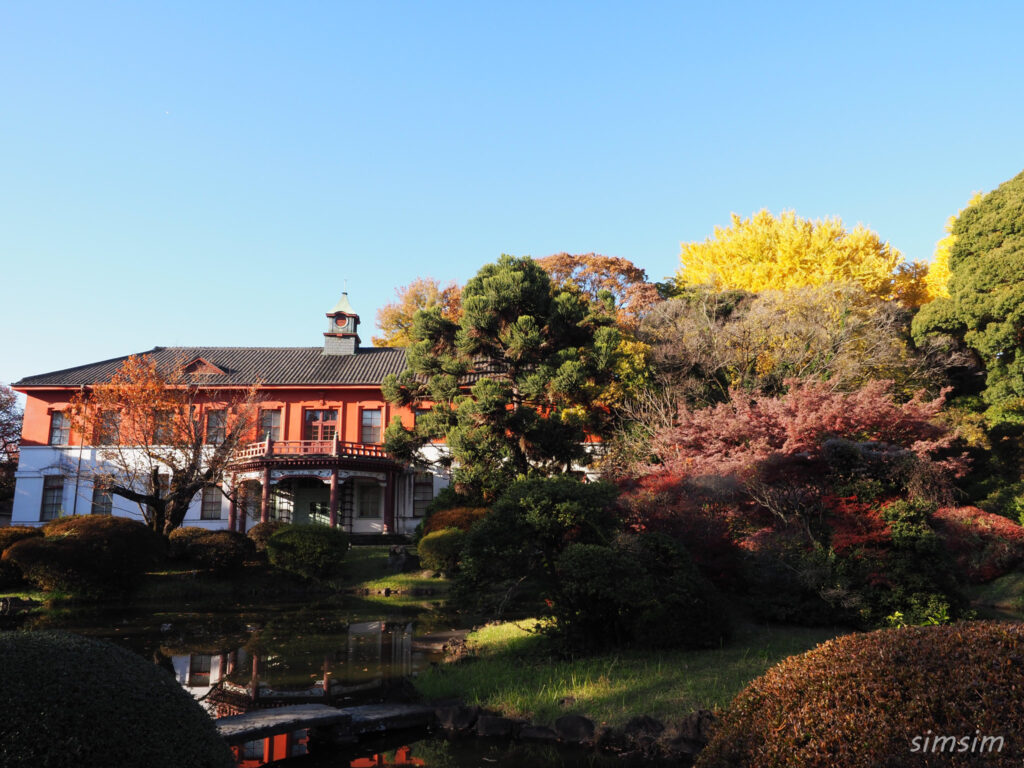 小石川植物園　紅葉