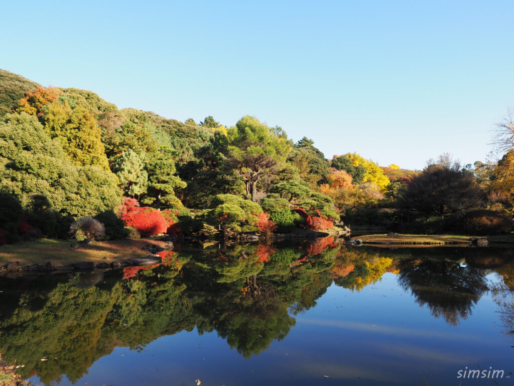 小石川植物園　紅葉