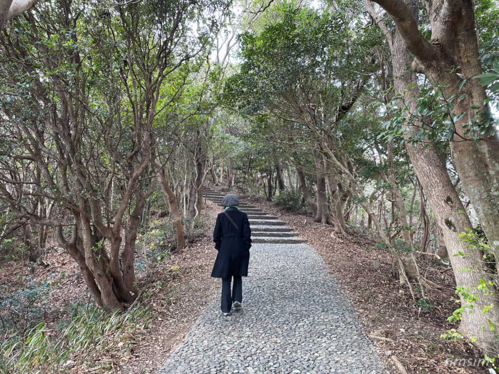 横山展望台