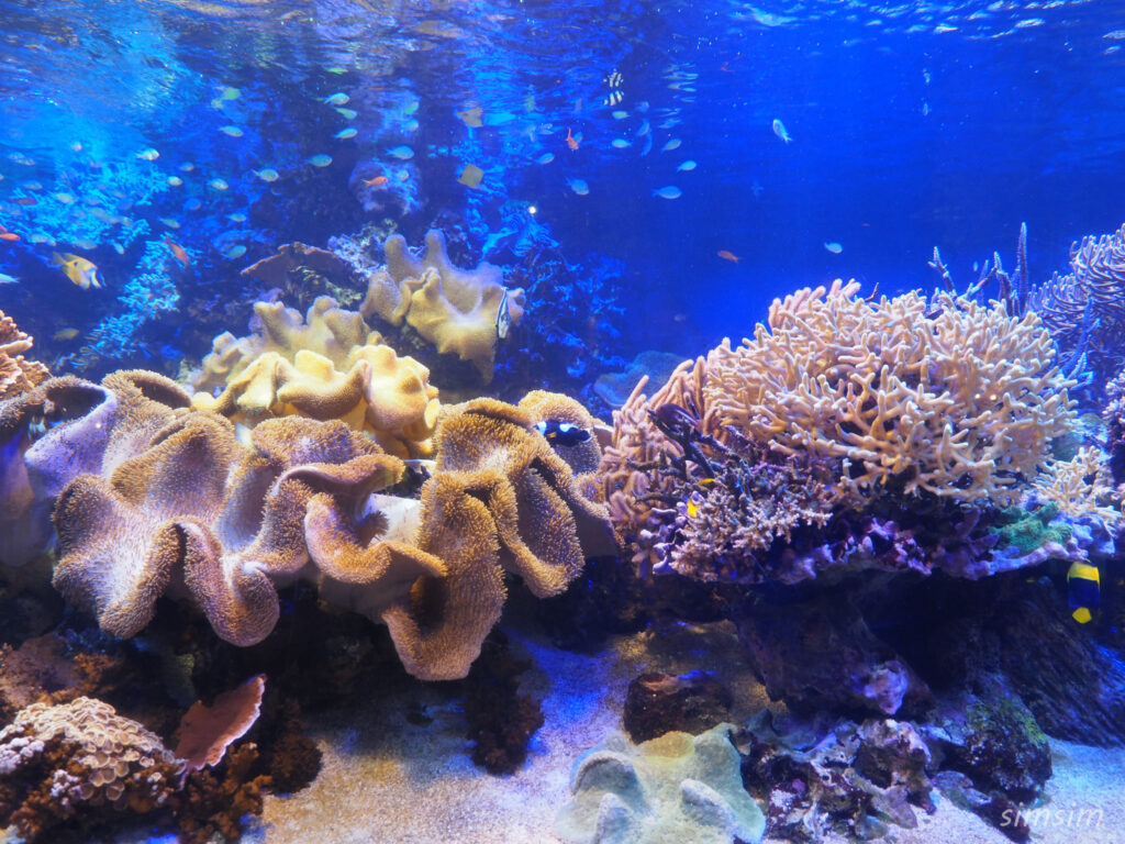 鳥羽水族館