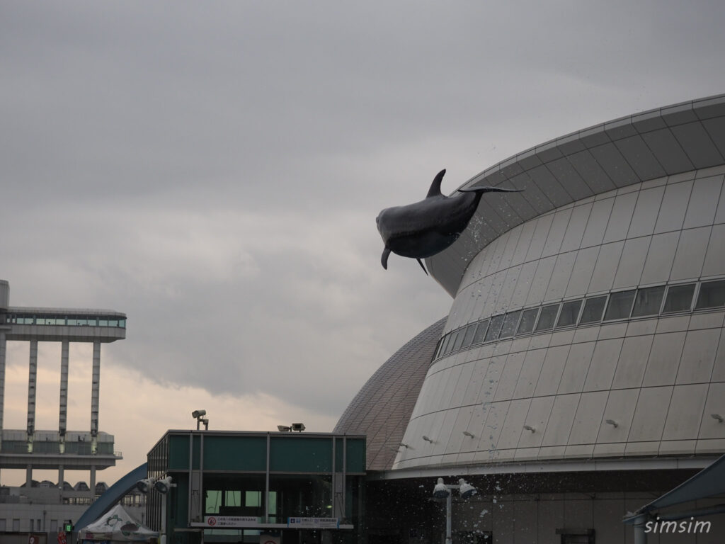 名古屋港水族館　イルカ