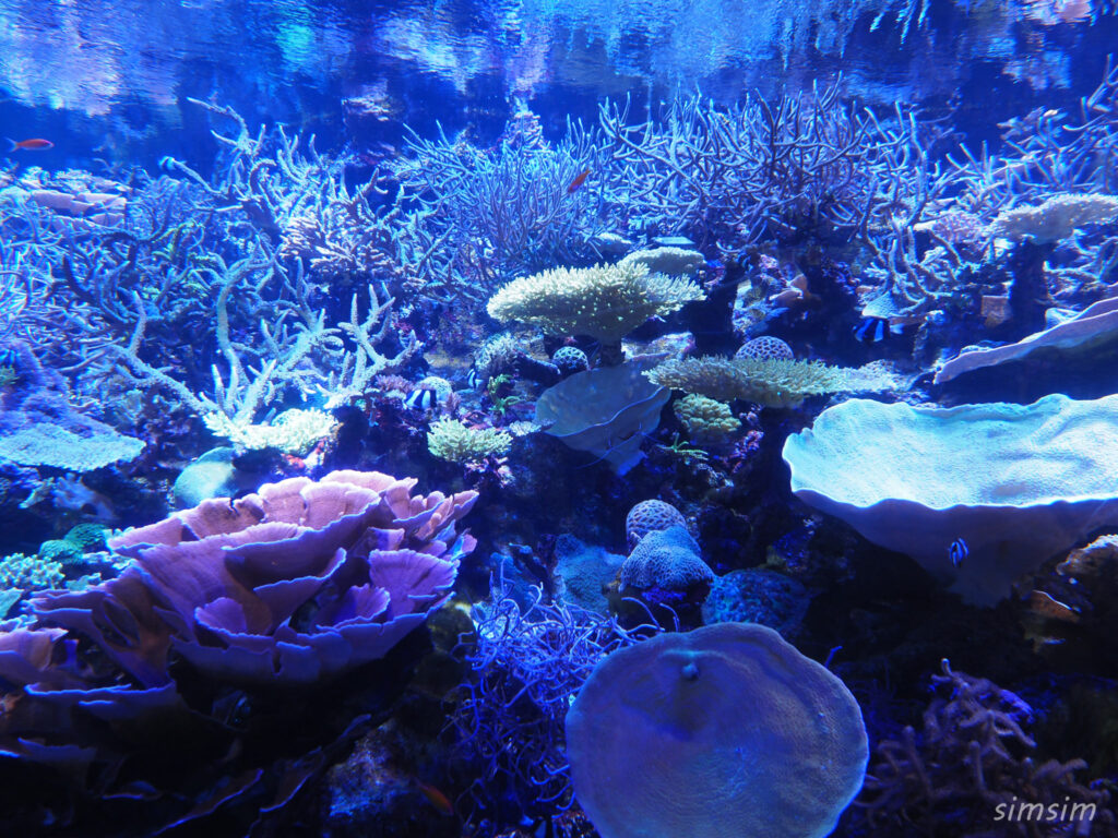 名古屋港水族館　水槽