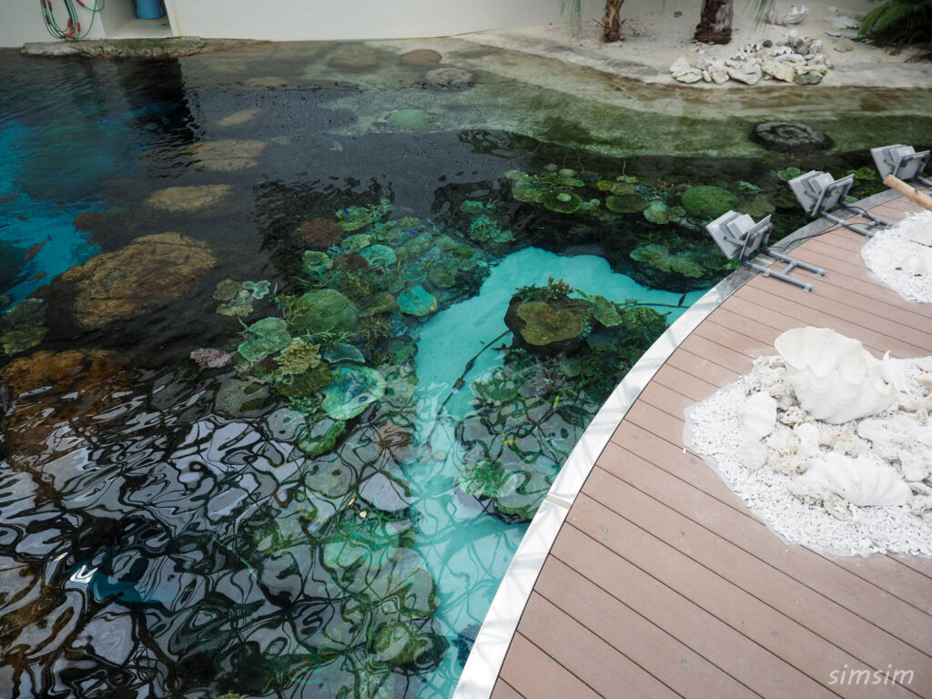 名古屋港水族館　水槽