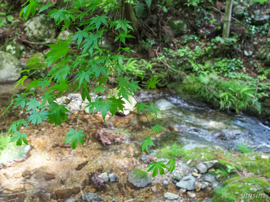 黒山三滝