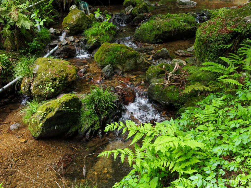 黒山三滝