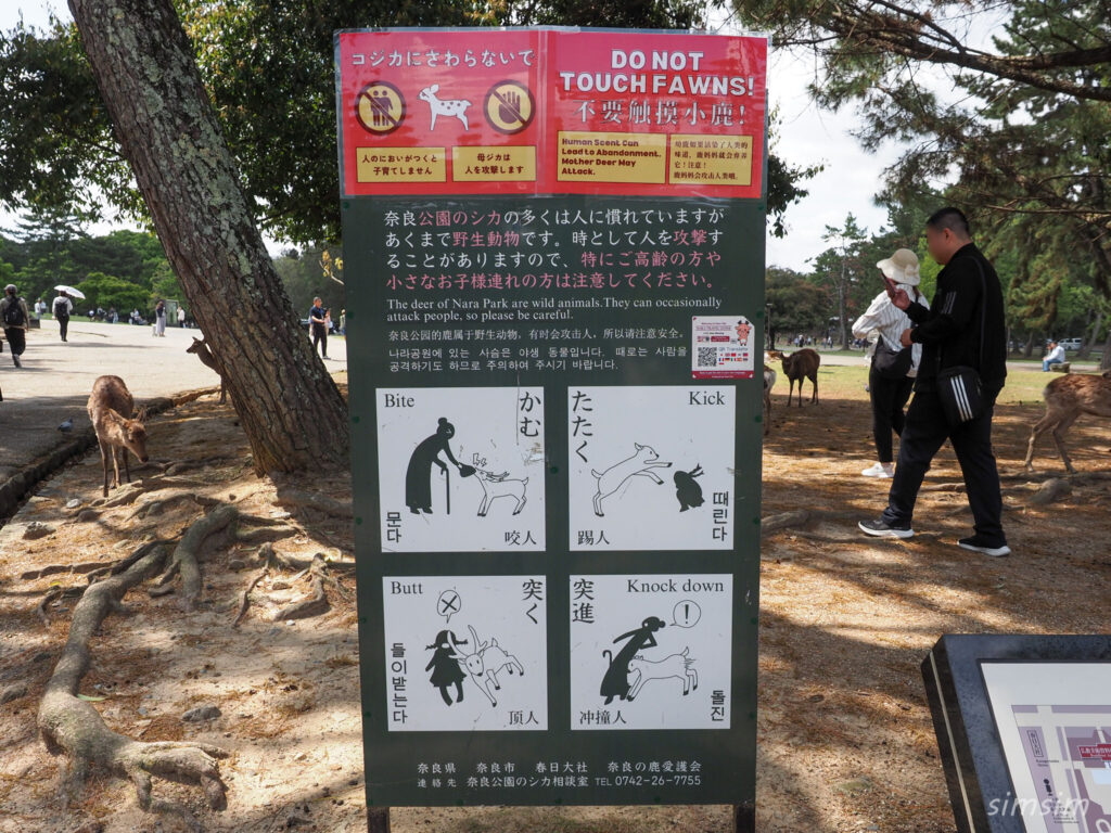 奈良公園