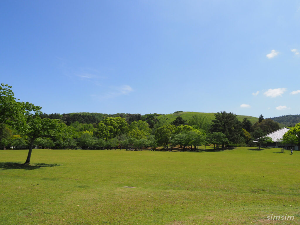 奈良公園