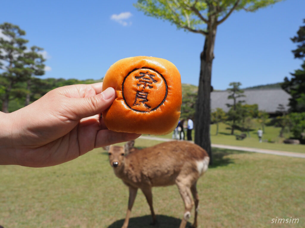 奈良公園 鹿