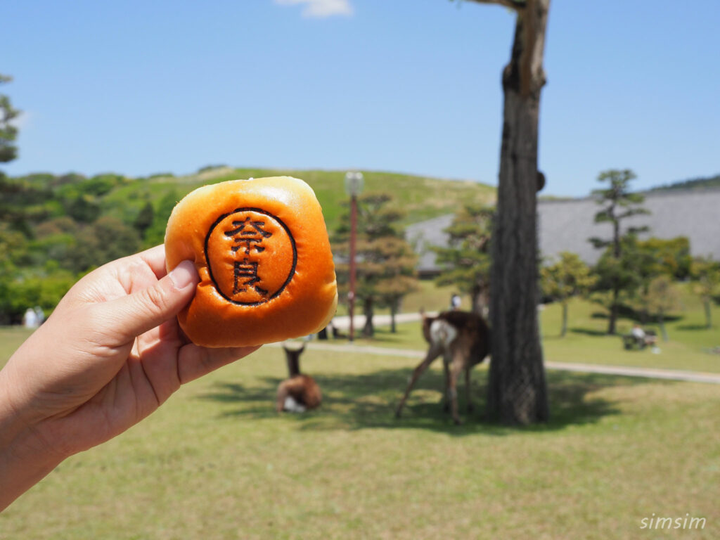 奈良公園 鹿
