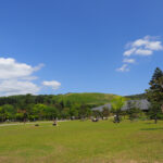 奈良公園