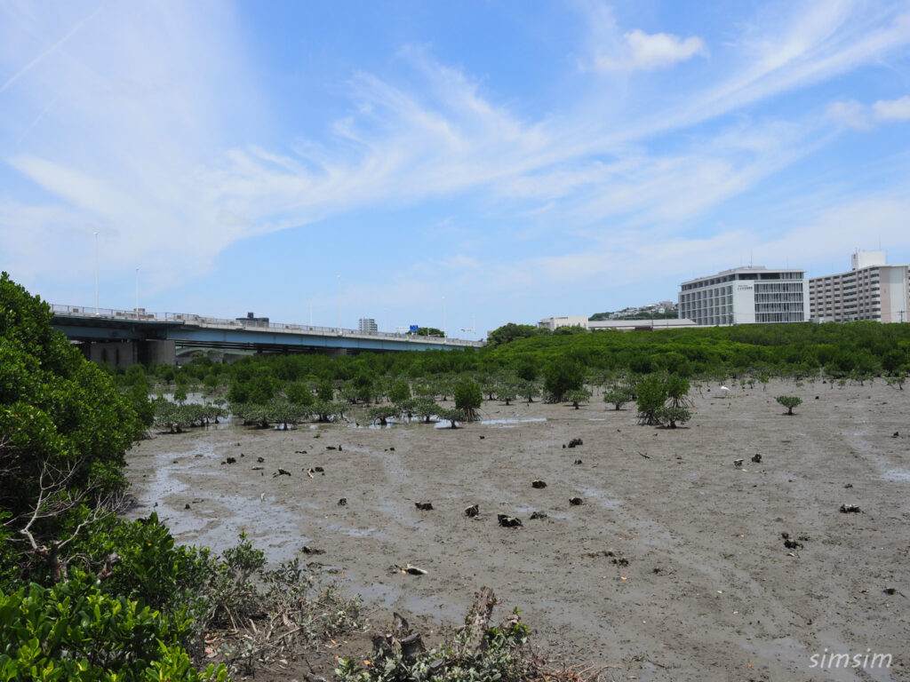 漫湖水鳥・湿地センター