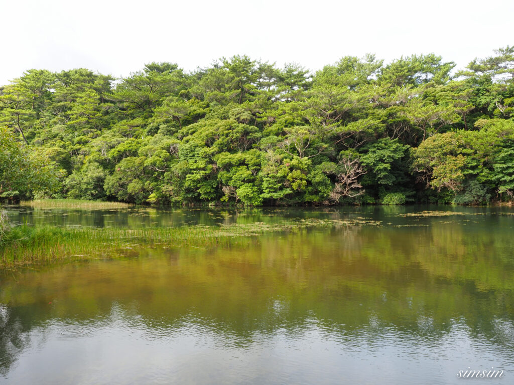 国頭村森林公園