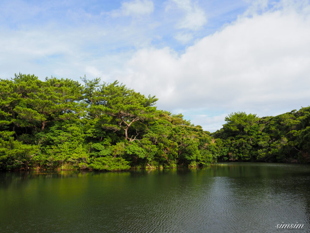 国頭村森林公園