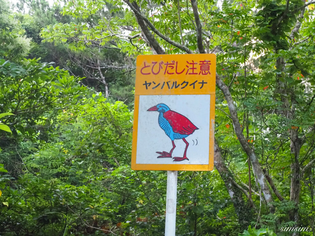 沖縄北部ドライブ