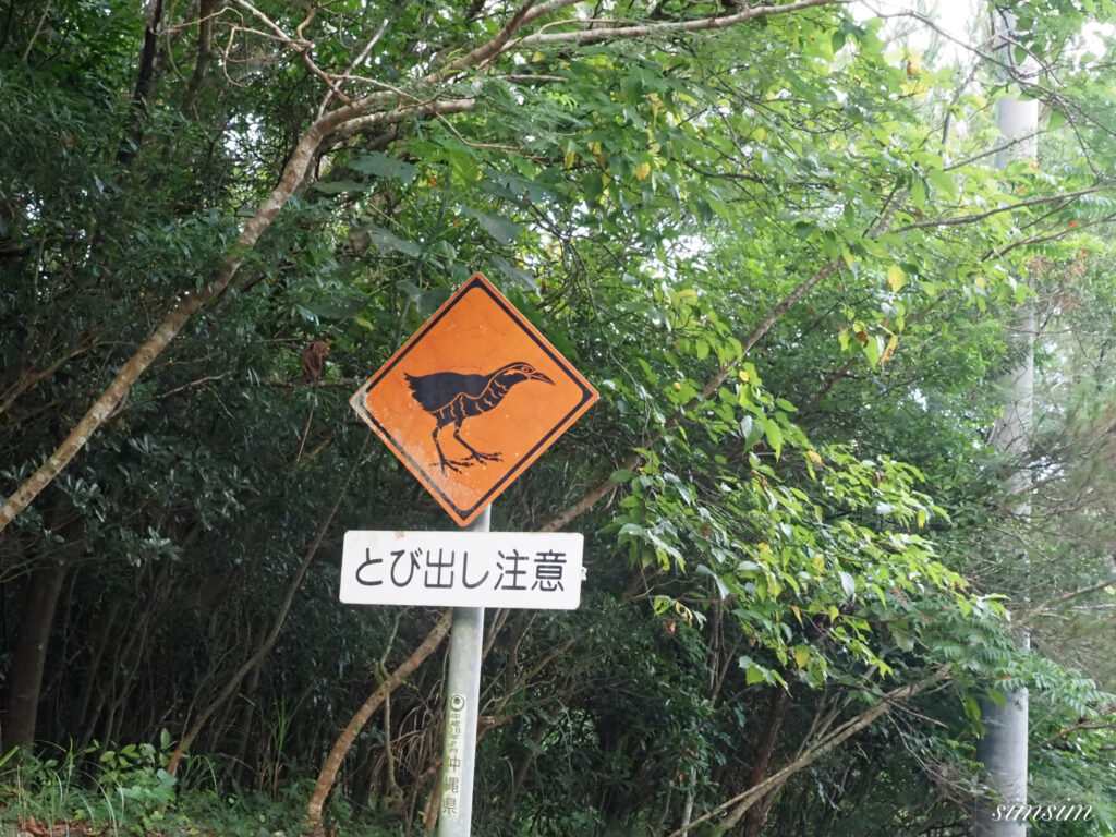 沖縄北部ドライブ