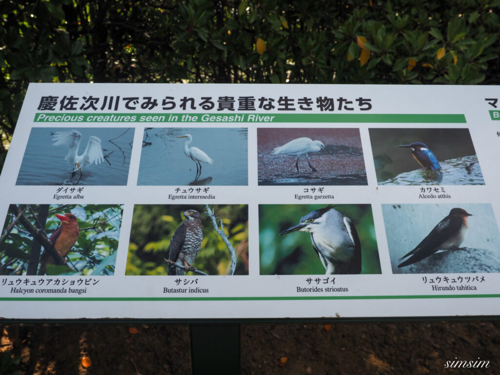 東村ふれあいヒルギ公園