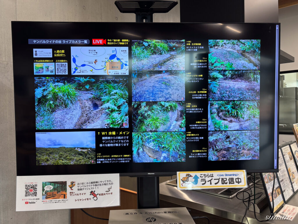 道の駅　パイナップルの丘安波
