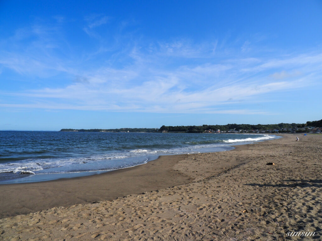 三浦海岸