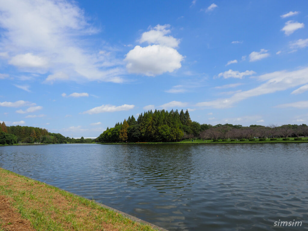 水元公園　小合溜