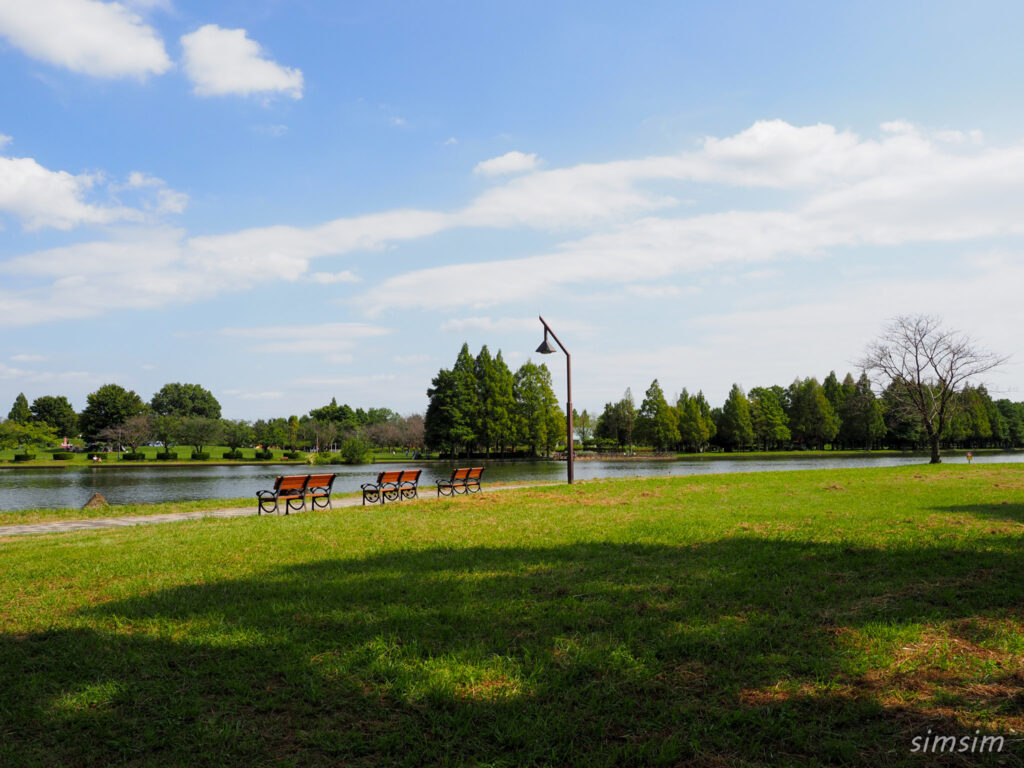 水元公園　小合溜