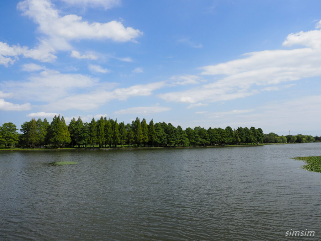 水元公園　小合溜